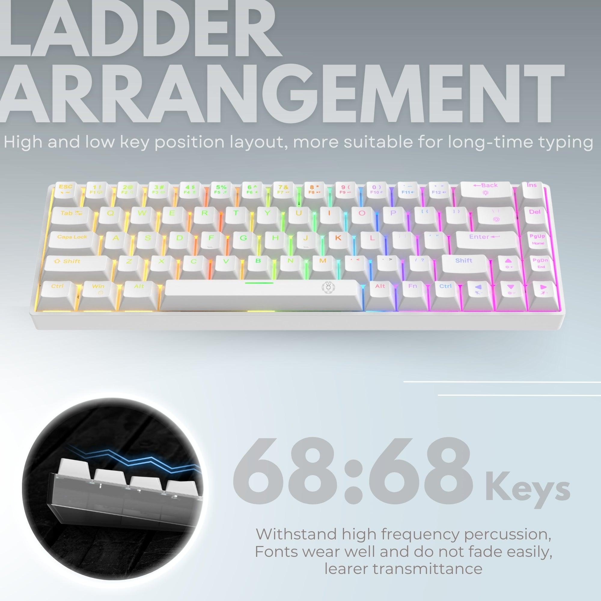 Dr Luxur Mechanical Keyboard with 68 Keys, w/ OUTEMU Red/Blue Switches, Hot Swappable OUTEMU Switches